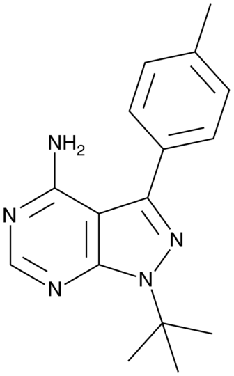 PP1 (Src Inhibitor)