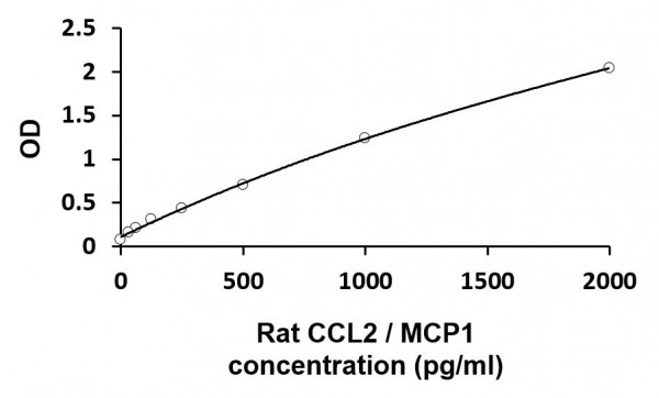 Rat MCP-1 / CCL2 ELISA Kit