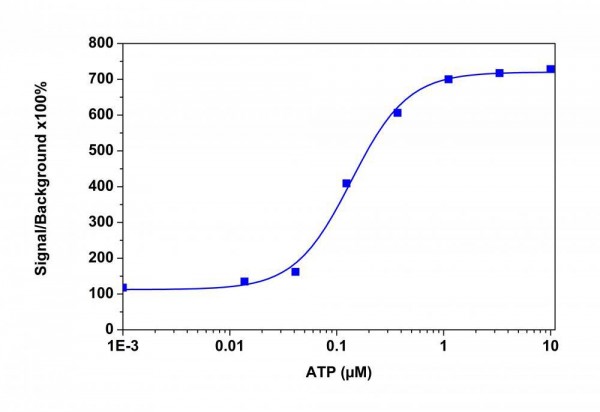 Screen Quest(TM) Calbryte-590(TM) Probenecid-Free and Wash-Free Calcium Assay Kit