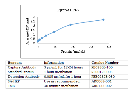 Anti-Interferon gamma (IFN-gamma) (equine)