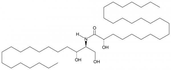 C24 (2'(S)-hydroxy) dihydro Ceramide (d18:0/24:0)