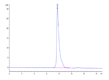 SLAMF1/SLAM/CD150[Biotin], His &amp; Avi, Human