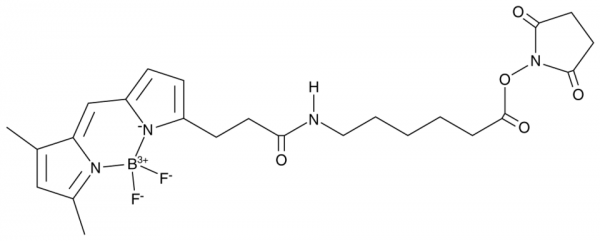 3-BODIPY-propanoylaminocaproic Acid N-hydroxysuccinimide ester