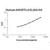 ANGPTL4 BioAssay(TM) ELISA Kit, Human