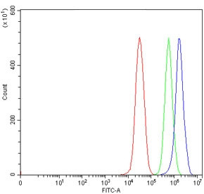 Anti-ADAR2 / ADARB1 / RED1