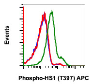 Anti-phospho-HS1 (Tyr397) (Clone: F12) rabbit mAb APC Conjugate