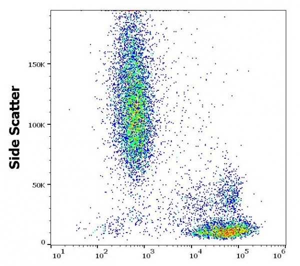 Anti-CD99, clone 3B2/TA8
