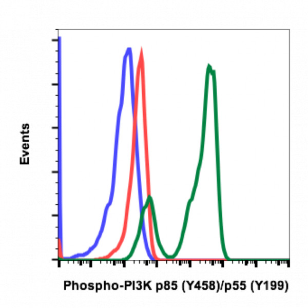 Anti-phospho-PI3 Kinase p85 (Tyr458)/p55 (Tyr199) (Clone: 1A11) rabbit mAb