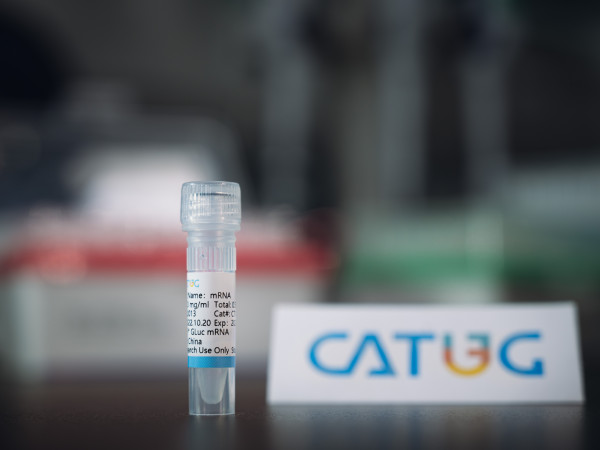 CatPure(TM) Gaussia luciferase mRNA