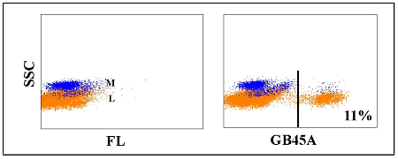 Anti-WC1+ gamma delta T cell (WC1-N26 epitope) (bovine), clone GB45A