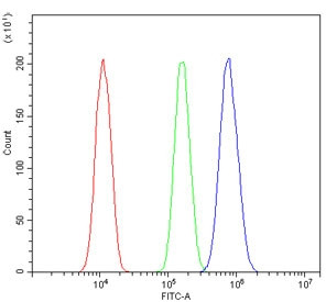 Anti-RGMB / Repulsive Guidance Molecule B