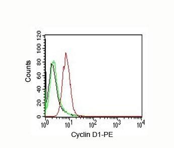 Anti-Cyclin D1 PE Conjugate, clone CCND1/809