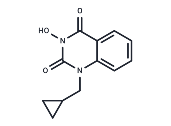 FEN1-IN-4