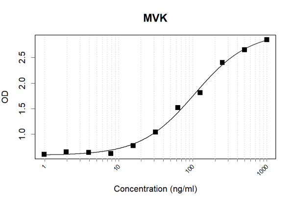 Anti-Human MVK Antibody Pair