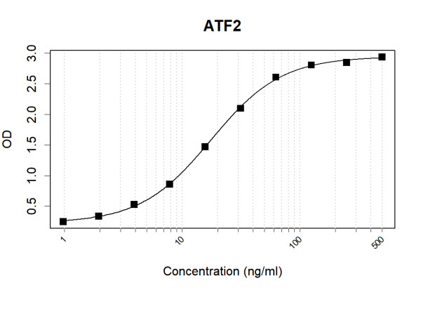 Anti-Human ATF2 Antibody Pair