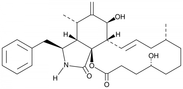 Dihydrocytochalasin B