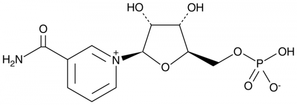 beta-Nicotinamide Mononucleotide