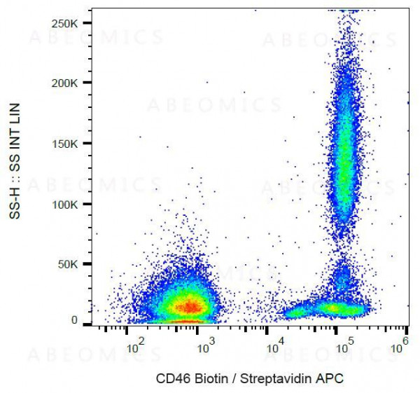Anti-CD46 / Membrane Cofactor Protein Monoclonal Antibody (Clone:MEM-258)-Biotin Conjugated