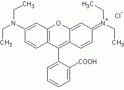 Rhodamine B *Fluorescence reference standard*
