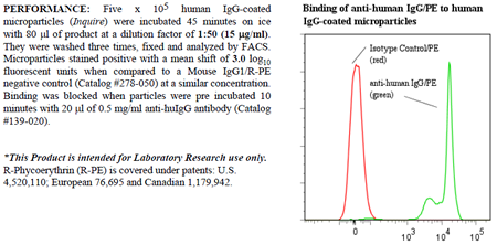 Anti-IgG (human), clone ICO-97, R-PE conjugated