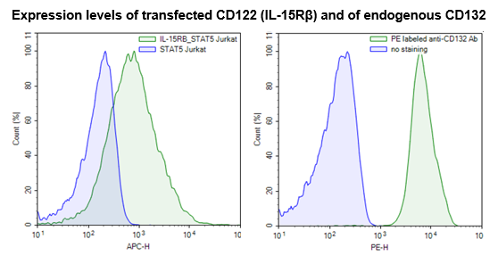 IL-15 Responsive Luciferase Reporter Cell Line