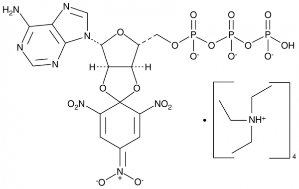 TNP-ATP (triethylammonium salt)
