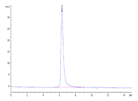 CEACAM-6/CD66c[Biotin], His&amp; Avi, Human