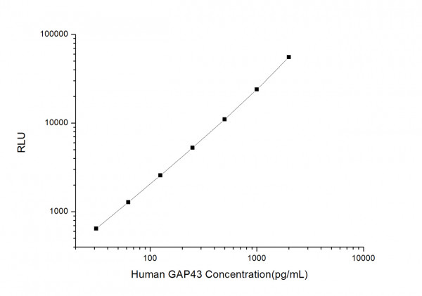 Human GAP43 (Growth Associated Protein 43) CLIA Kit