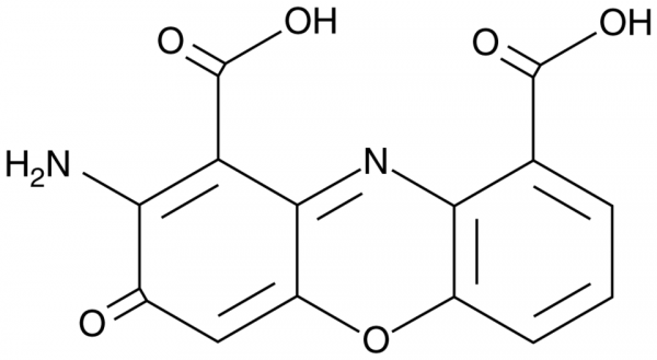 Cinnabarinic Acid