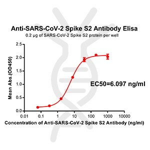 Anti-SARS-CoV-2 Spike antibody(DM40), Rabbit mAb