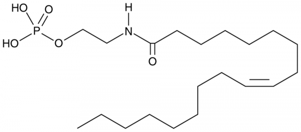 Oleoyl Ethanolamide Phosphate