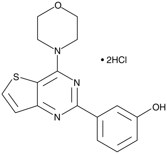 PI3-Kinase alpha Inhibitor 2 (hydrochloride)