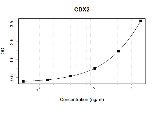 Anti-Human CDX2 Antibody Pair
