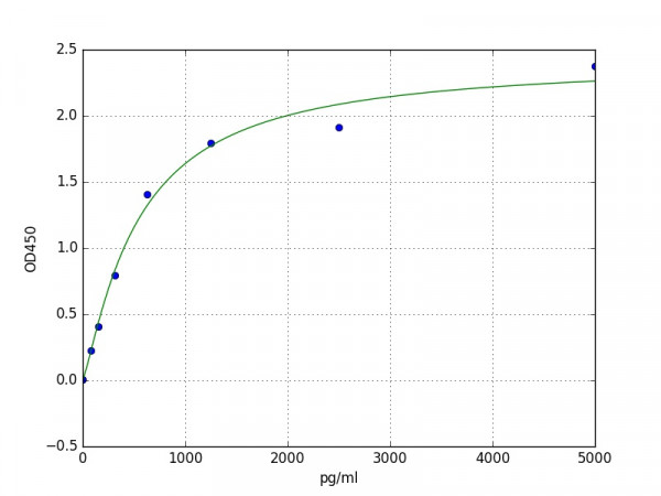 Rabbit LOX-1 / OLR1 ELISA Kit
