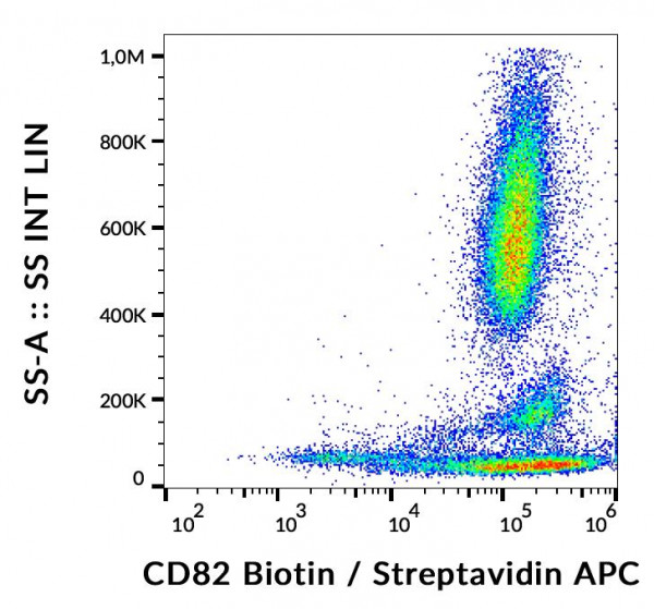 Anti-CD82 (Biotin), clone C33