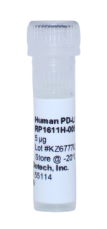 Recombinant Protein, pd-l1 human (hpdPD-L1)