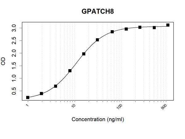 Anti-Human GPATCH8 Antibody Pair