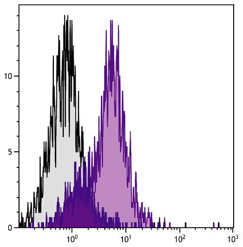 Anti-CD54 / ICAM1, clone YN1/1.7.4