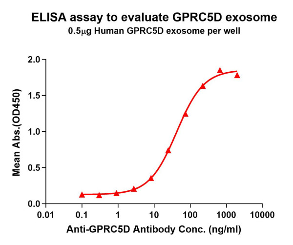 GPRC5D (human) full length protein-exo