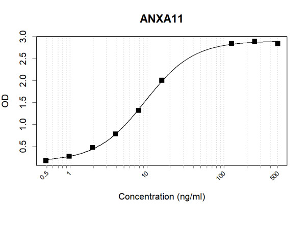 Anti-Human ANXA11 Antibody Pair