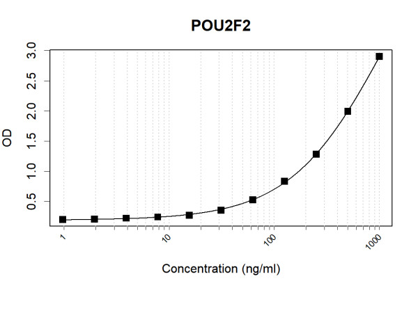 Anti-Human Oct-2 Antibody Pair