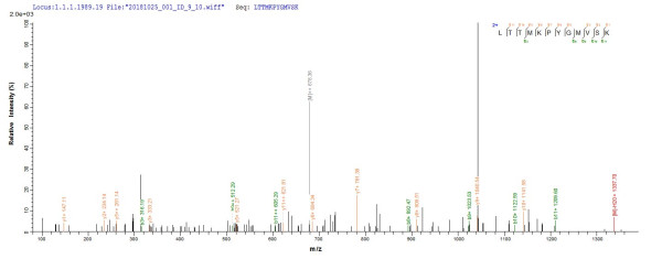 Matrix protein (M), human metapneumovirus, recombinant