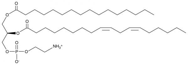 1-Palmitoyl-2-linoleoyl PE