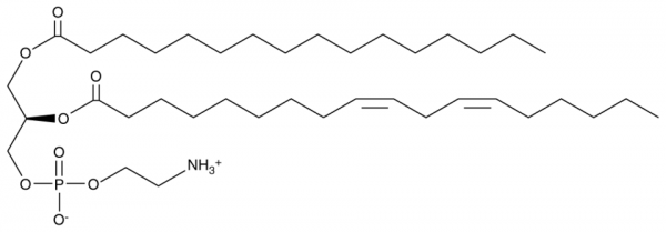 1-Palmitoyl-2-Linoleoyl-sn-glycero-3-PE