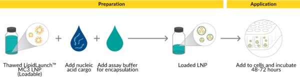 LipidLaunch(TM) MC3 LNP Kit (Loadable)