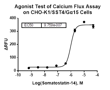 CHO-K1/SST4/Galpha15 Stable Cell Line