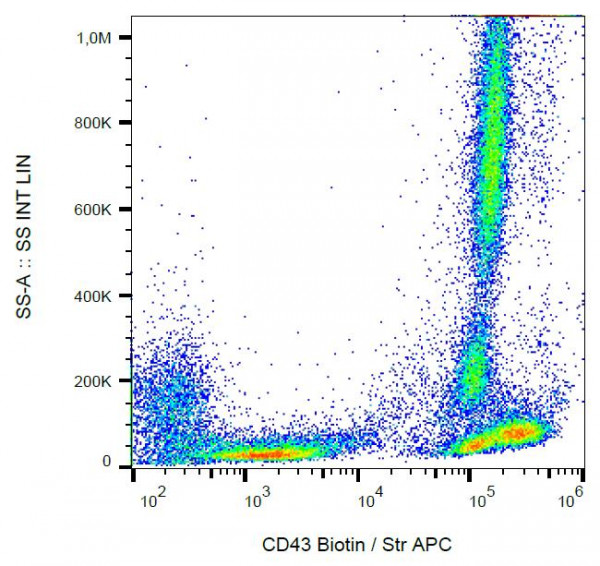 Anti-CD43, clone MEM-59 (Biotin)