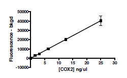 COX2, C-terminal FLAG-His-tags, human recombiant protein