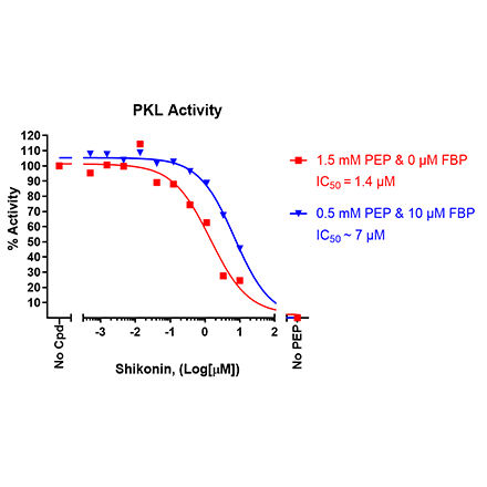 PKL Kinase Inhibition Assay Kit