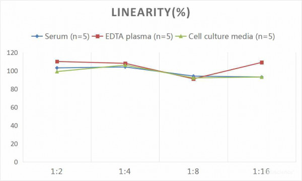 Mouse GLP-1 (Glucagon Like Peptide 1)CLIA Kit